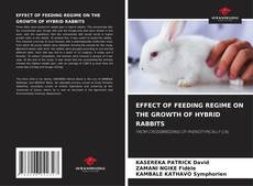 Bookcover of EFFECT OF FEEDING REGIME ON THE GROWTH OF HYBRID RABBITS
