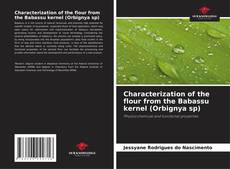 Bookcover of Characterization of the flour from the Babassu kernel (Orbignya sp)