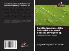Couverture de Caratterizzazione della farina del nocciolo di Babassu (Orbignya sp)