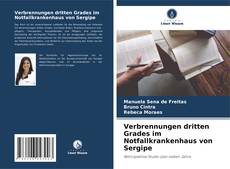 Copertina di Verbrennungen dritten Grades im Notfallkrankenhaus von Sergipe