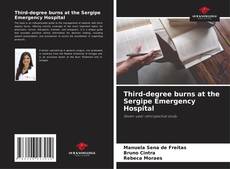 Capa do livro de Third-degree burns at the Sergipe Emergency Hospital 