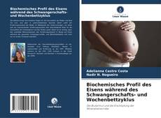 Portada del libro de Biochemisches Profil des Eisens während des Schwangerschafts- und Wochenbettzyklus