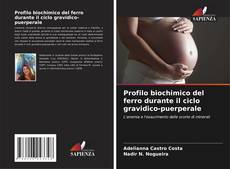 Borítókép a  Profilo biochimico del ferro durante il ciclo gravidico-puerperale - hoz