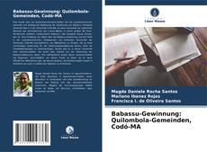 Portada del libro de Babassu-Gewinnung: Quilombola-Gemeinden, Codó-MA