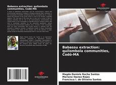 Babassu extraction: quilombola communities, Codó-MA kitap kapağı