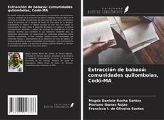 Capa do livro de Extracción de babasú: comunidades quilombolas, Codó-MA 