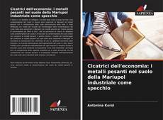 Обложка Cicatrici dell'economia: i metalli pesanti nel suolo della Mariupol industriale come specchio