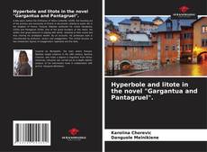 Bookcover of Hyperbole and litote in the novel "Gargantua and Pantagruel".