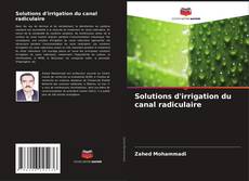 Portada del libro de Solutions d'irrigation du canal radiculaire