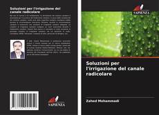 Copertina di Soluzioni per l'irrigazione del canale radicolare