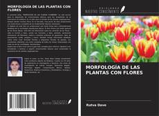 Buchcover von MORFOLOGÍA DE LAS PLANTAS CON FLORES