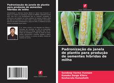 Bookcover of Padronização da janela de plantio para produção de sementes híbridas de milho