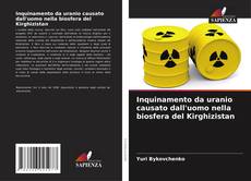 Copertina di Inquinamento da uranio causato dall'uomo nella biosfera del Kirghizistan