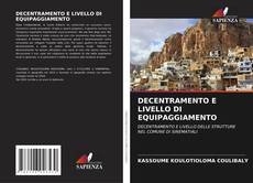 Copertina di DECENTRAMENTO E LIVELLO DI EQUIPAGGIAMENTO