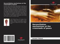 Reconciliation mechanisms at the crossroads of peace kitap kapağı