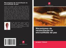 Bookcover of Mecanismos de reconciliação na encruzilhada da paz