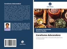 Copertina di Caralluma Adscendens