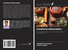 Copertina di Caralluma Adscendens