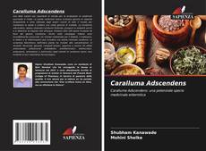 Buchcover von Caralluma Adscendens
