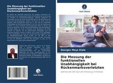 Copertina di Die Messung der funktionellen Unabhängigkeit bei Rückenmarksverletzten