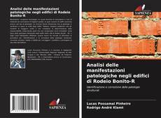 Borítókép a  Analisi delle manifestazioni patologiche negli edifici di Rodeio Bonito-R - hoz