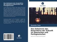 Das Geheimnis des Konjunktivs der Zukunft im Spanischen und Portugiesischen的封面