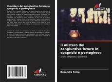 Bookcover of Il mistero del congiuntivo futuro in spagnolo e portoghese