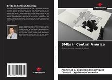 Buchcover von SMEs in Central America