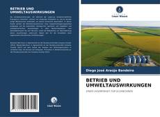 Portada del libro de BETRIEB UND UMWELTAUSWIRKUNGEN