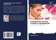 Bookcover of Созревание мягких тканей в ортодонтии
