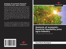 Bookcover of Analysis of economic-financial feasibility Juice agro-industry