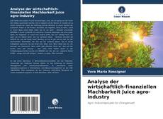 Copertina di Analyse der wirtschaftlich-finanziellen Machbarkeit Juice agro-industry