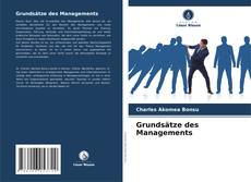 Copertina di Grundsätze des Managements