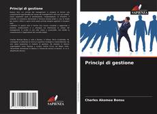 Buchcover von Principi di gestione