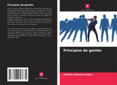 Bookcover of Princípios de gestão