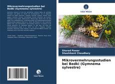 Copertina di Mikrovermehrungsstudien bei Bedki (Gymnema sylvestre)