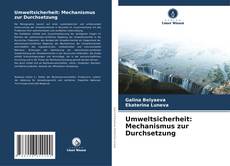 Copertina di Umweltsicherheit: Mechanismus zur Durchsetzung