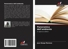 Bookcover of Panoramica dell'ambiente