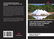 Bookcover of Low environmental impact cements from residues from the Amazon