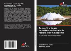 Couverture de Cementi a basso impatto ambientale da residui dell'Amazzonia