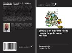 Buchcover von Simulación del umbral de riesgo de pobreza en Francia