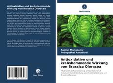 Copertina di Antioxidative und krebshemmende Wirkung von Brassica Oleracea