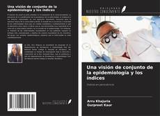 Copertina di Una visión de conjunto de la epidemiología y los índices