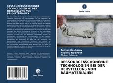 Copertina di RESSOURCENSCHONENDE TECHNOLOGIEN BEI DER HERSTELLUNG VON BAUMATERIALIEN