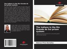 Bookcover of The Indians in the Rio Grande do Sul prison system: