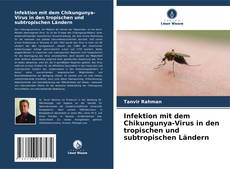 Обложка Infektion mit dem Chikungunya-Virus in den tropischen und subtropischen Ländern