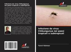 Couverture de Infezione da virus Chikungunya nei paesi tropicali e subtropicali