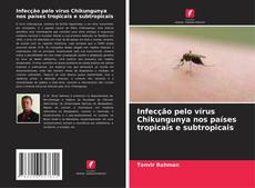 Capa do livro de Infecção pelo vírus Chikungunya nos países tropicais e subtropicais 