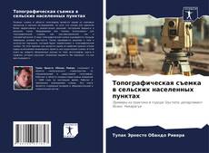 Bookcover of Топографическая съемка в сельских населенных пунктах