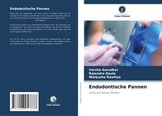 Capa do livro de Endodontische Pannen 